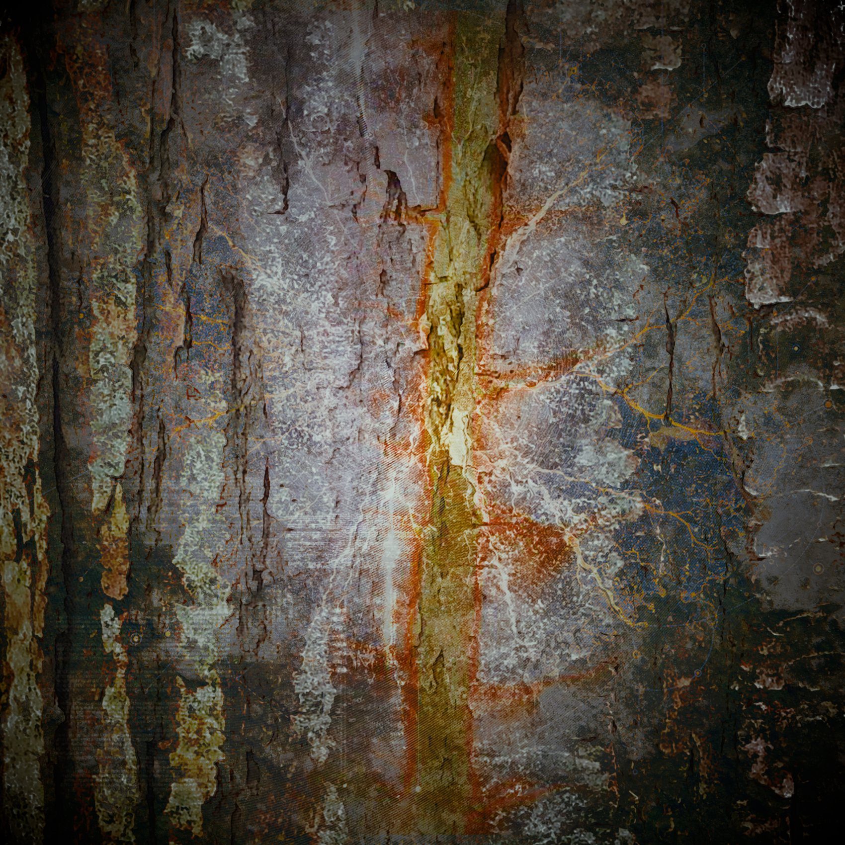Sylvan scar: canker and healed tissue read as surface