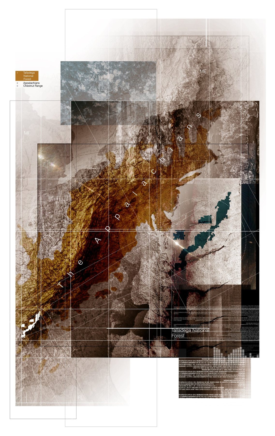 The Appalachians: chestnut range, Appalachian extent, and Talladega National Forest