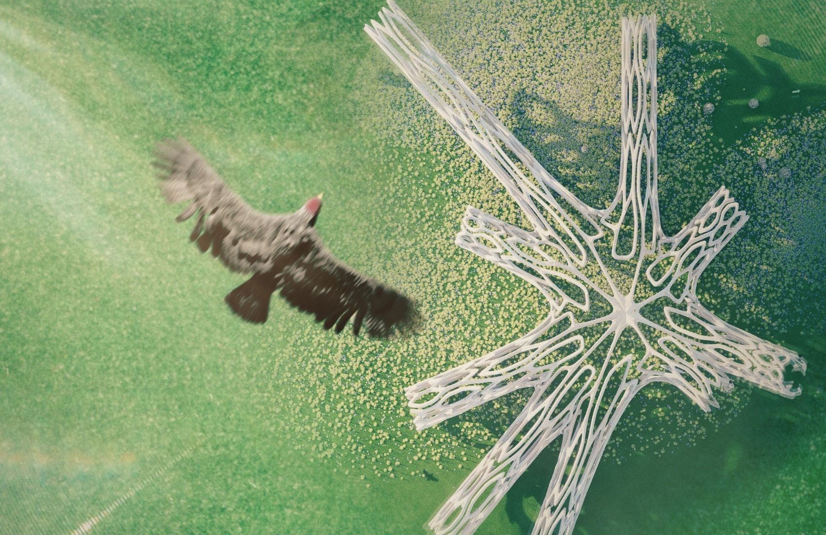 Aerial in situ: radial geometry read against the field